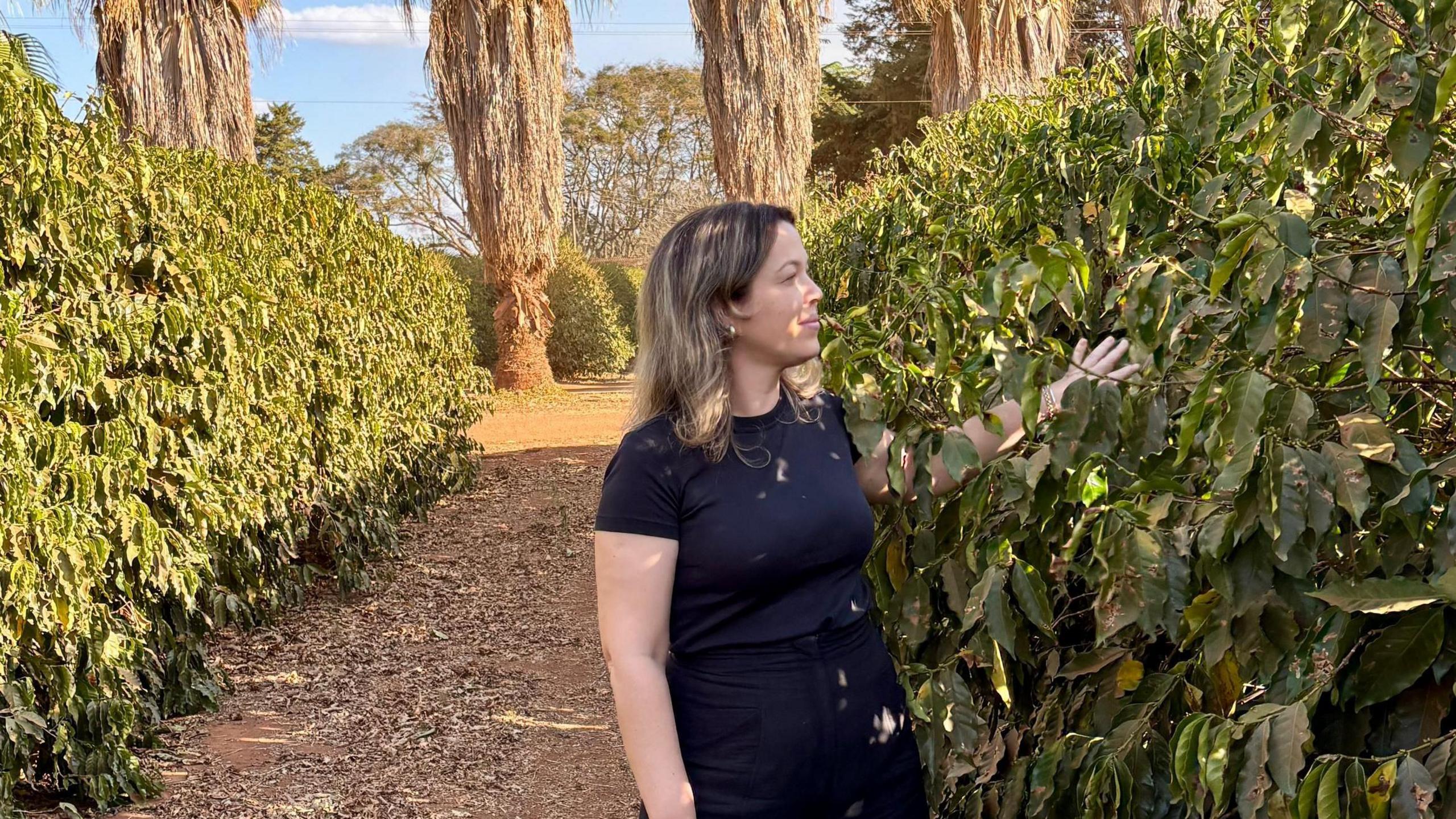 Coffee bean exporter Fernanda Pizol pictured walking through hedges in a coffee plantation in Brazil.