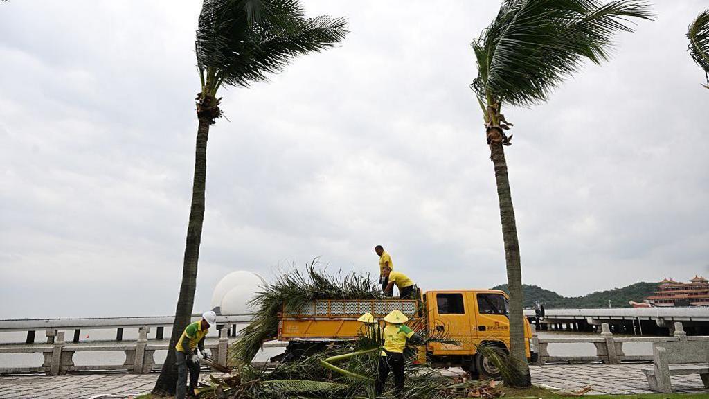 Workers trim branches along a sea-front street in Zhuhai as two tall trees sway in the wind.