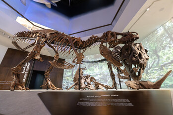 His Highness Sheikh Khaled bin Mohamed bin Zayed Al Nahyan inaugurates Natural History Museum Abu Dhabi in Saadiyat Cultural District His Highness Sheikh Khaled bin Mohamed bin Zayed Al Nahyan inaugurates Natural History Museum Abu Dhabi in Saadiyat Cultural District