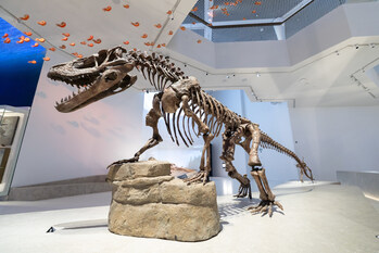 His Highness Sheikh Khaled bin Mohamed bin Zayed Al Nahyan inaugurates Natural History Museum Abu Dhabi in Saadiyat Cultural District His Highness Sheikh Khaled bin Mohamed bin Zayed Al Nahyan inaugurates Natural History Museum Abu Dhabi in Saadiyat Cultural District