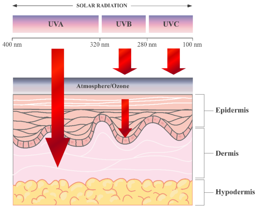 How sunburn inspired a new way to store energy